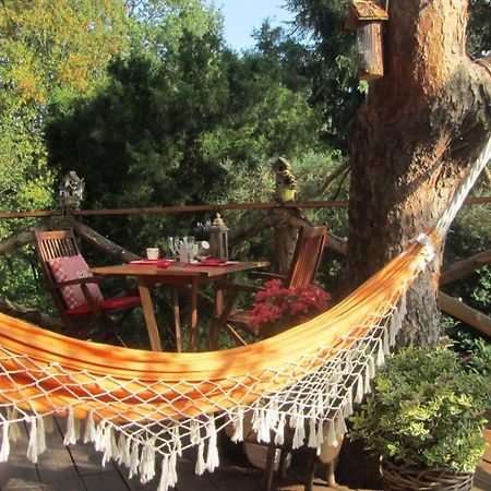 Domaine De La Carrauterie By Terre Insolite Sautin Esterno foto
