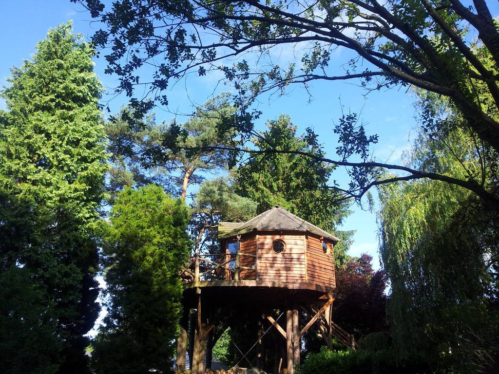 Domaine De La Carrauterie By Terre Insolite Sautin Camera foto